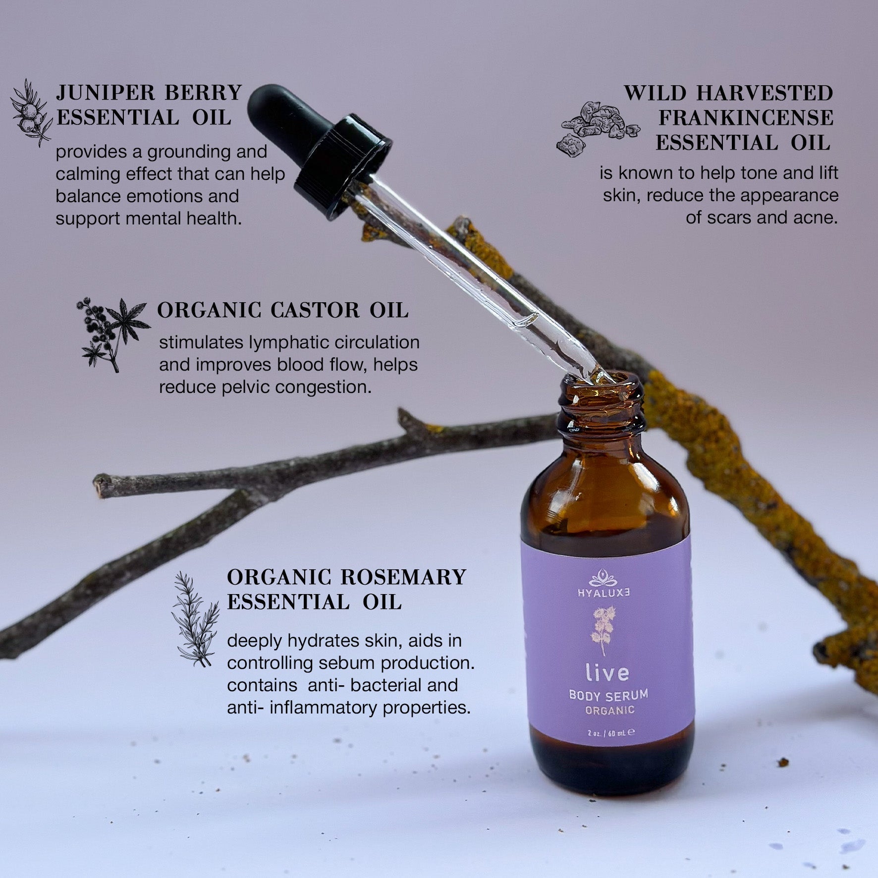 LIVE: Enhanced Castor Oil Serum
