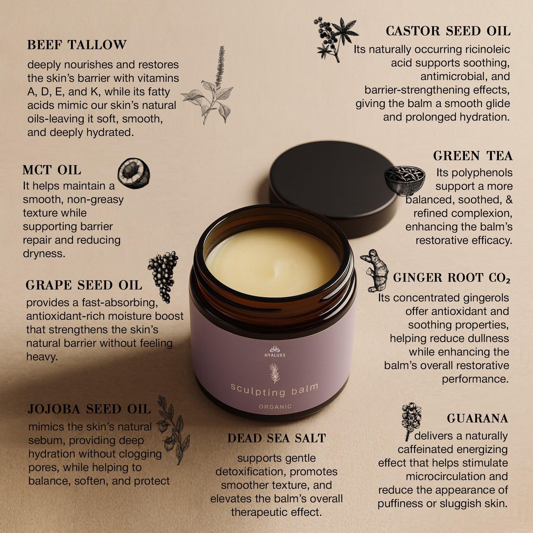 SCULPT and EXFOLIATE: Fat storage, cellulite, lymphatic stimulation